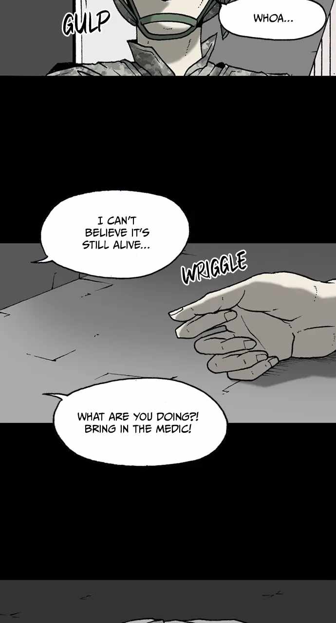 52