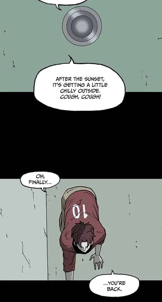 41