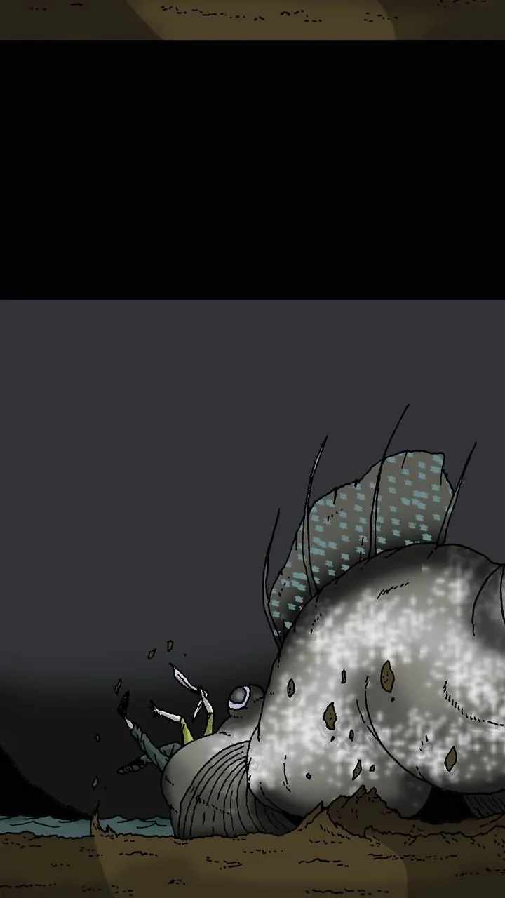 43