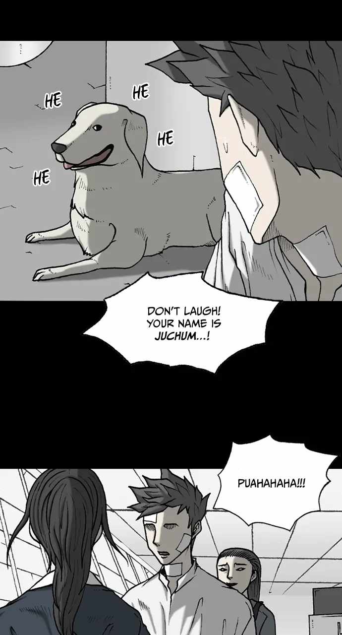 33