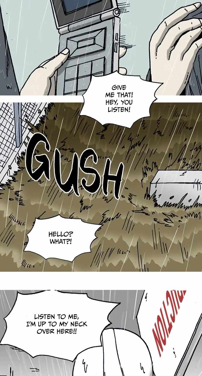 41