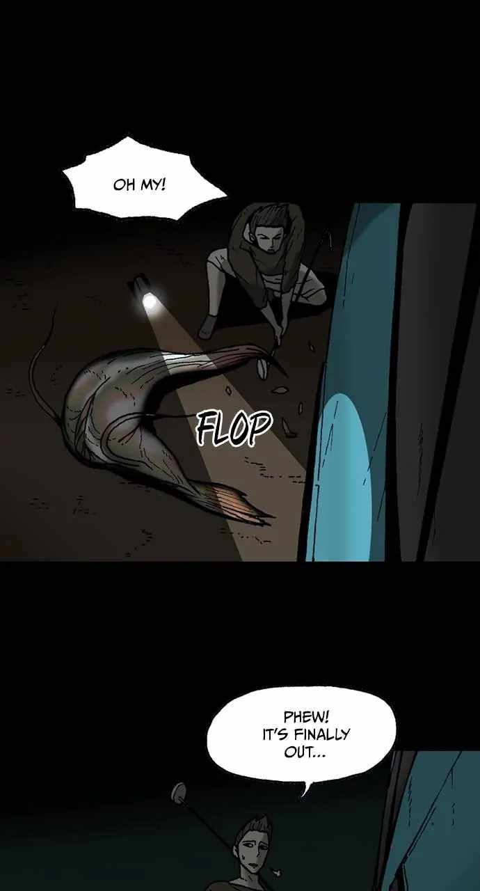 55