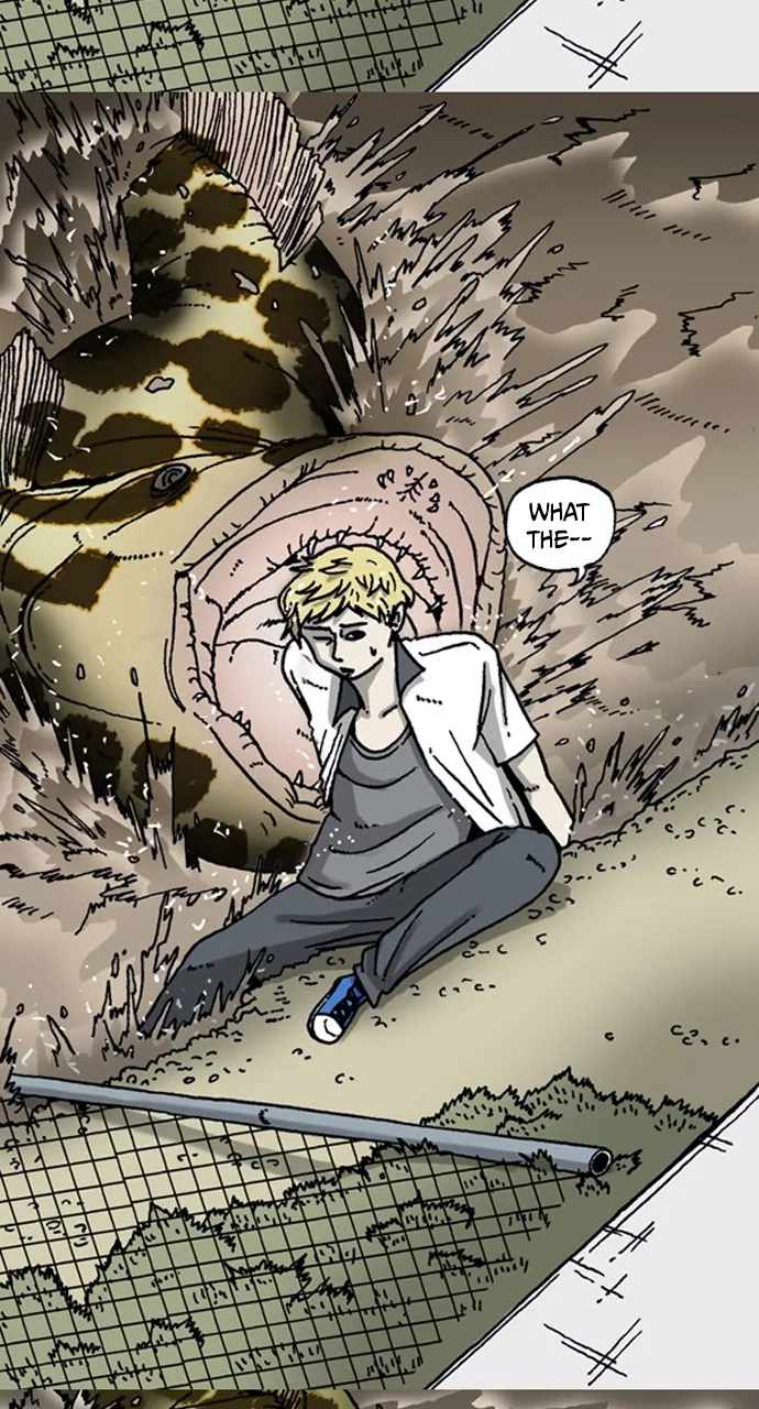 32