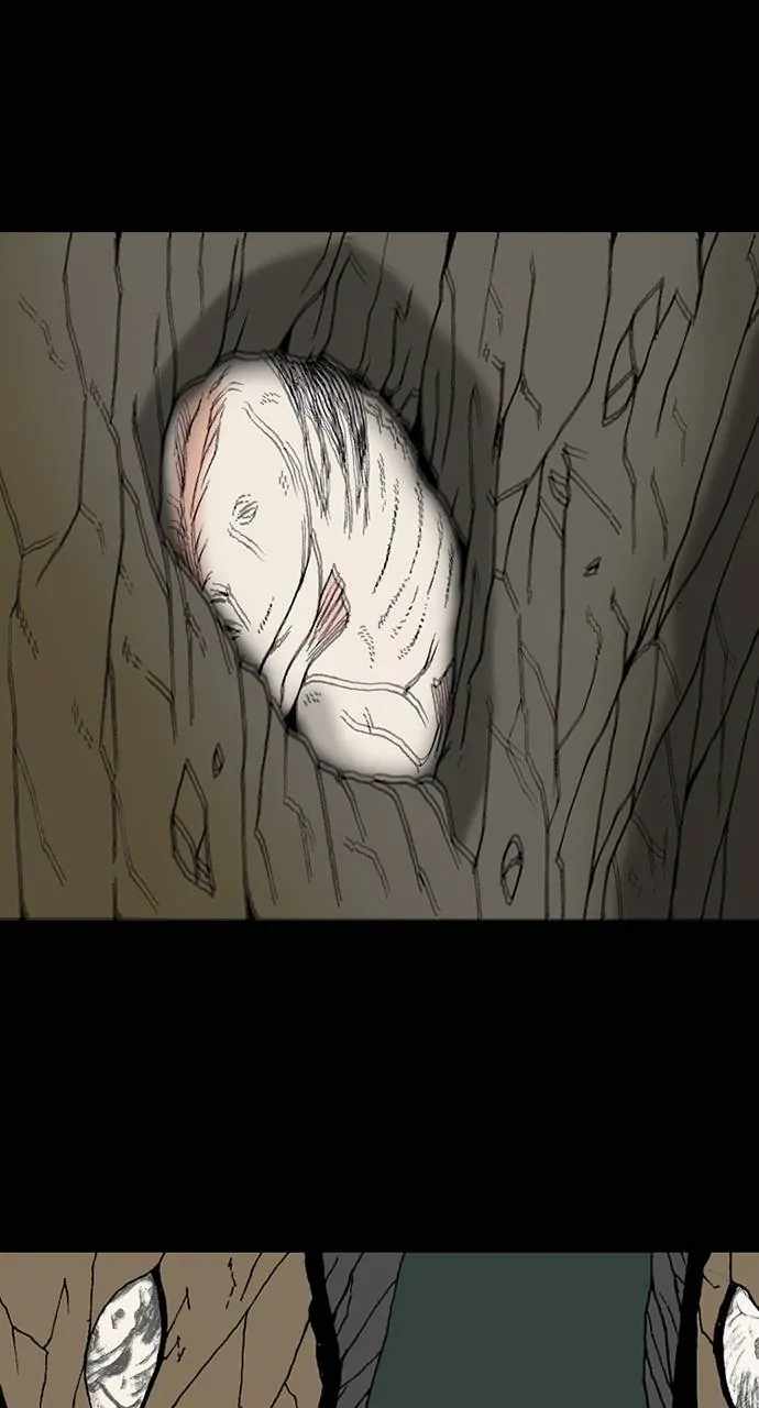 66