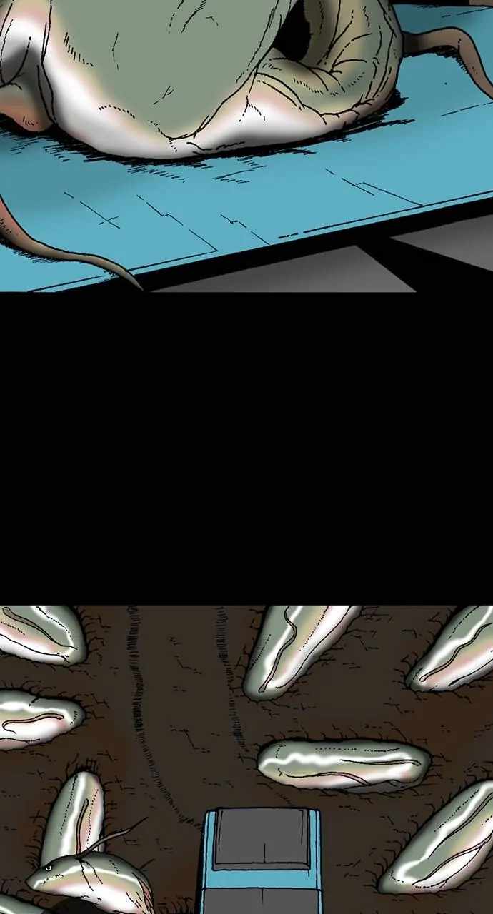 81