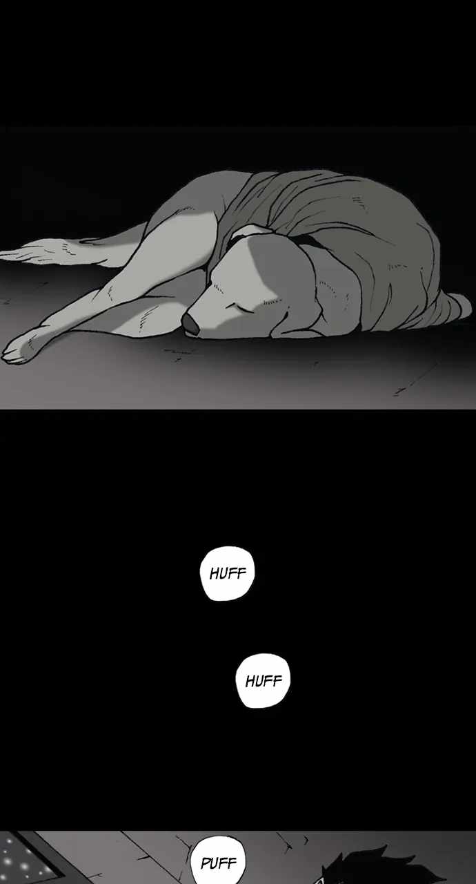 51