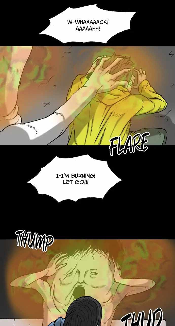 41
