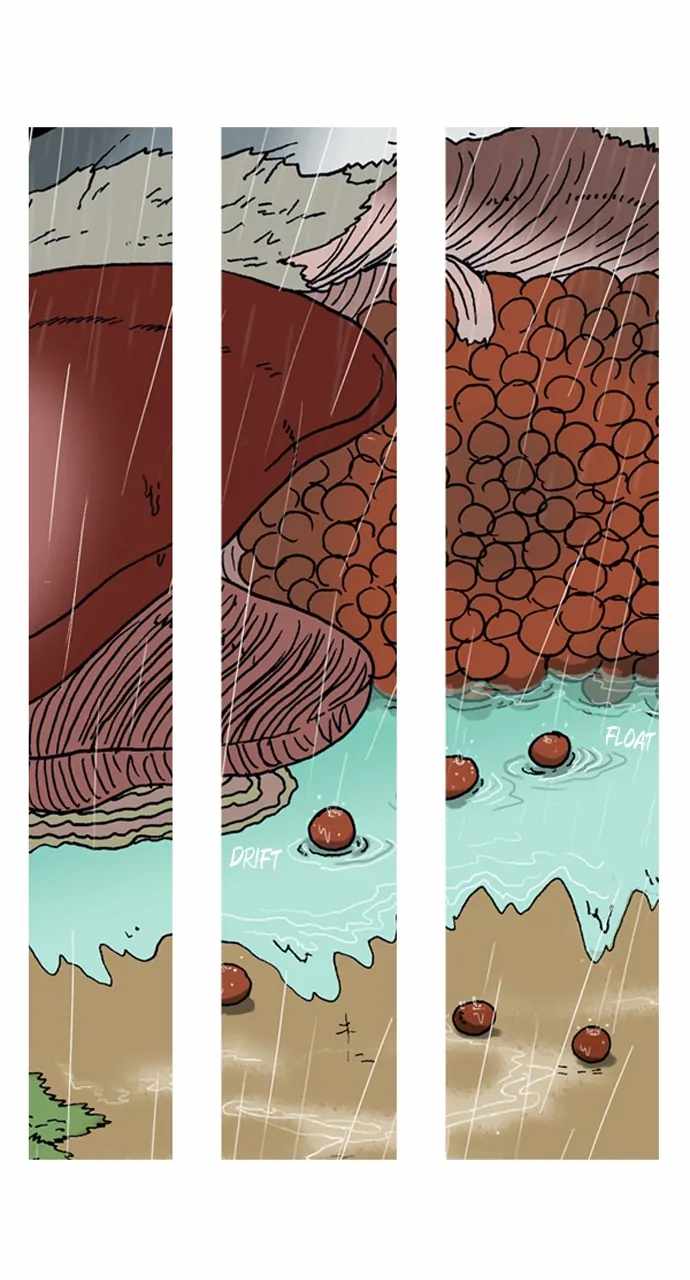 34