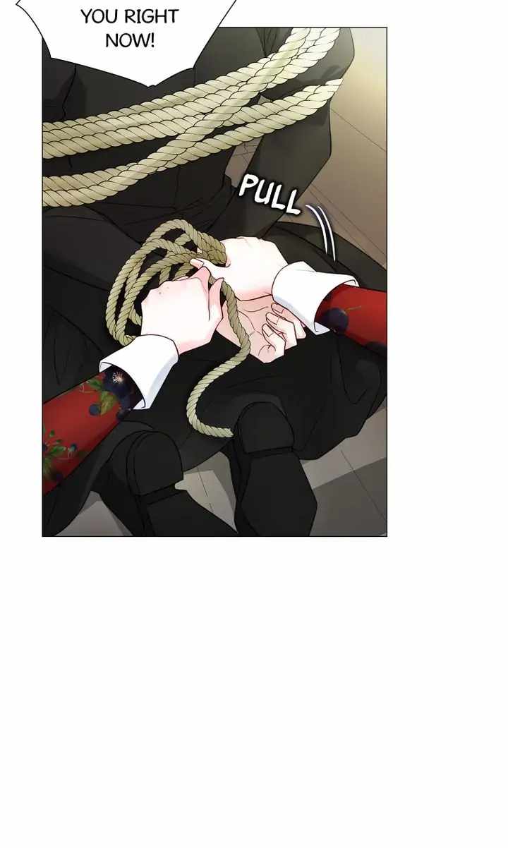 61