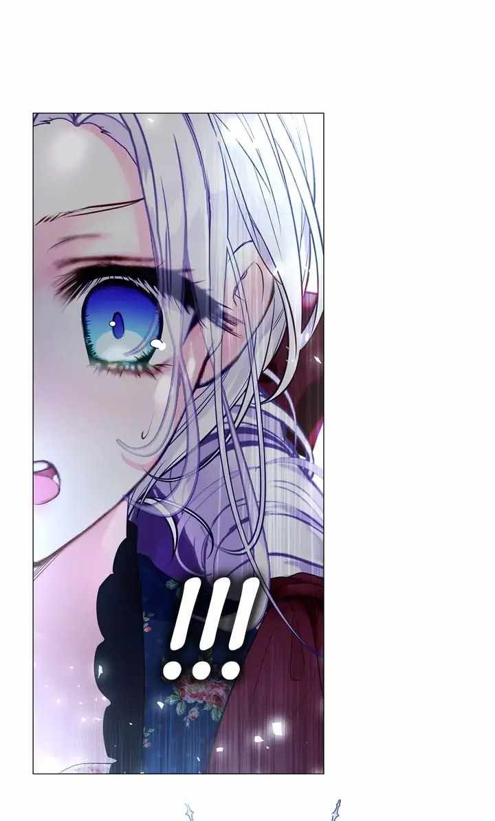 81