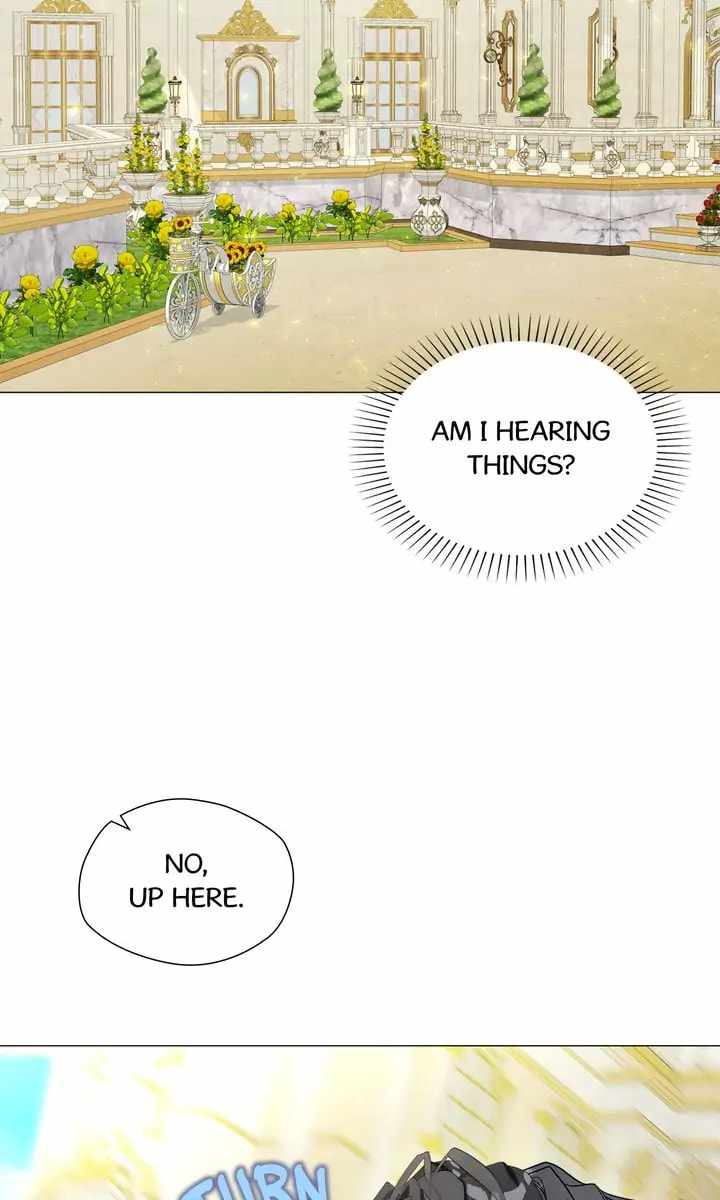 68