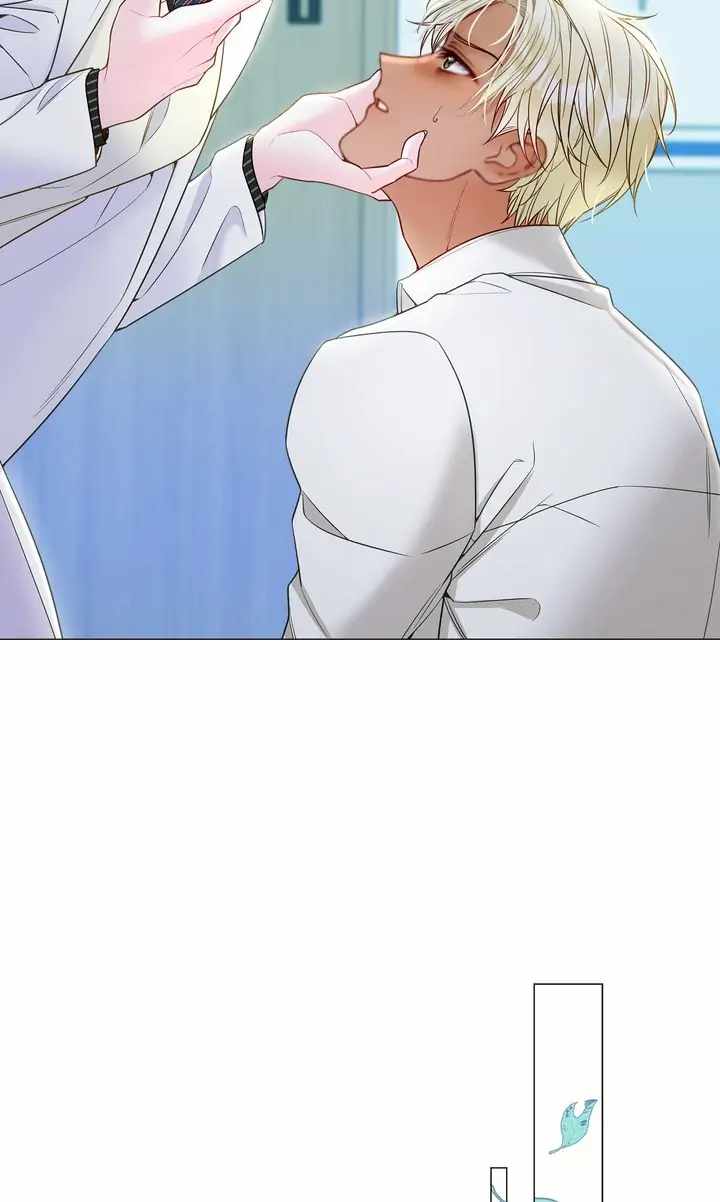 51