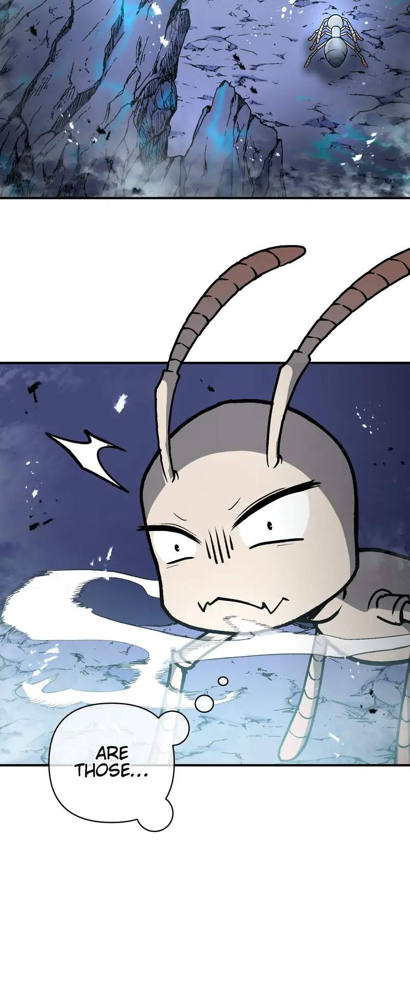 41