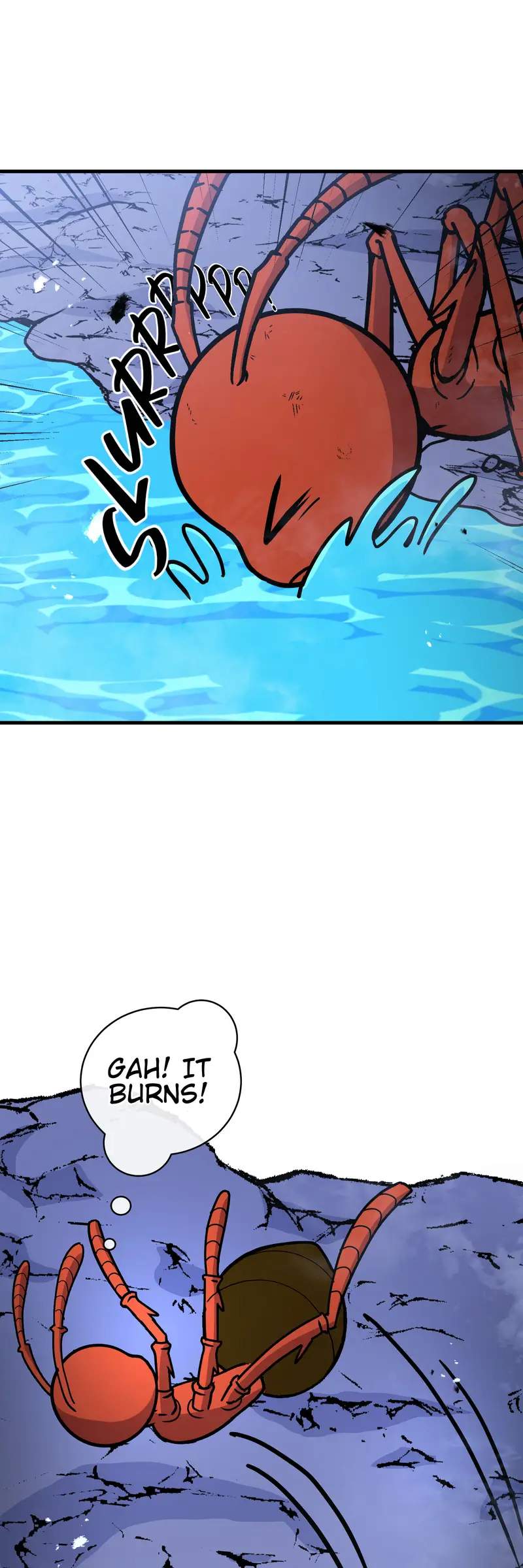 56