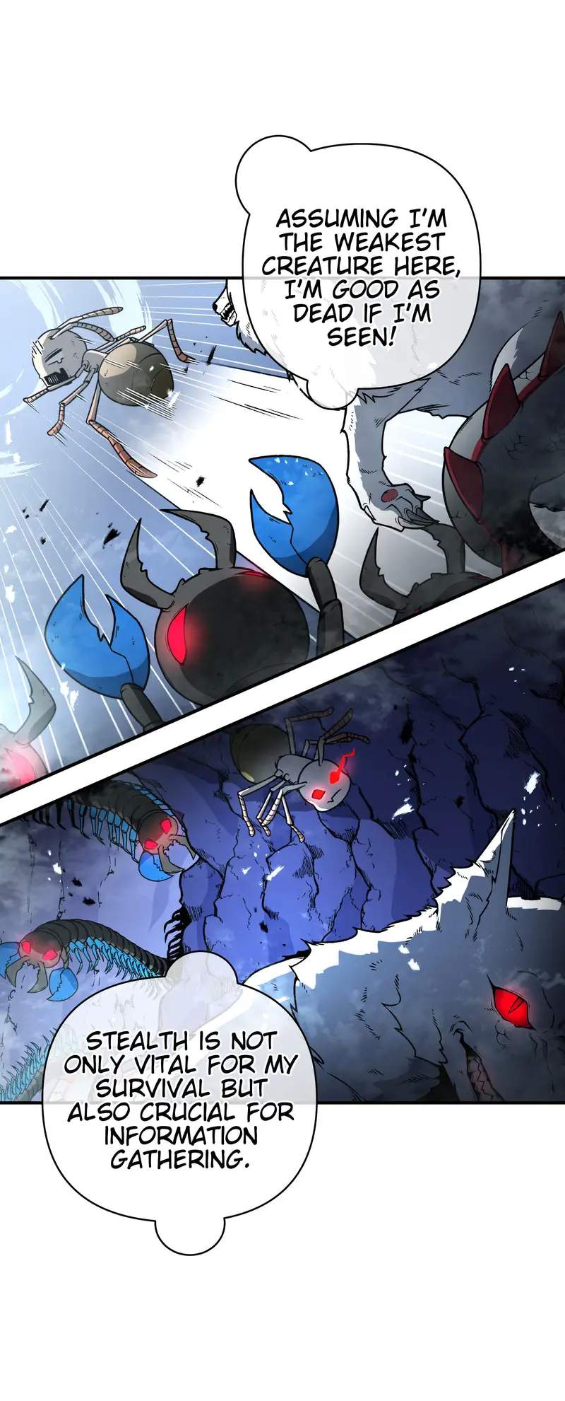 43