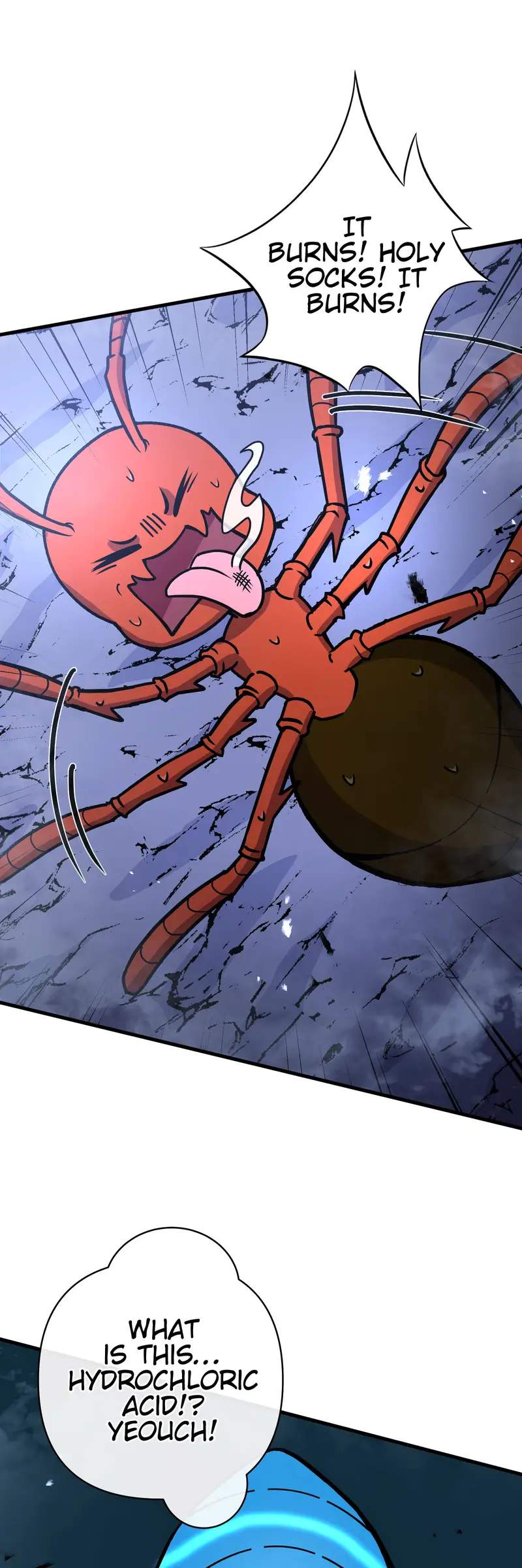 48