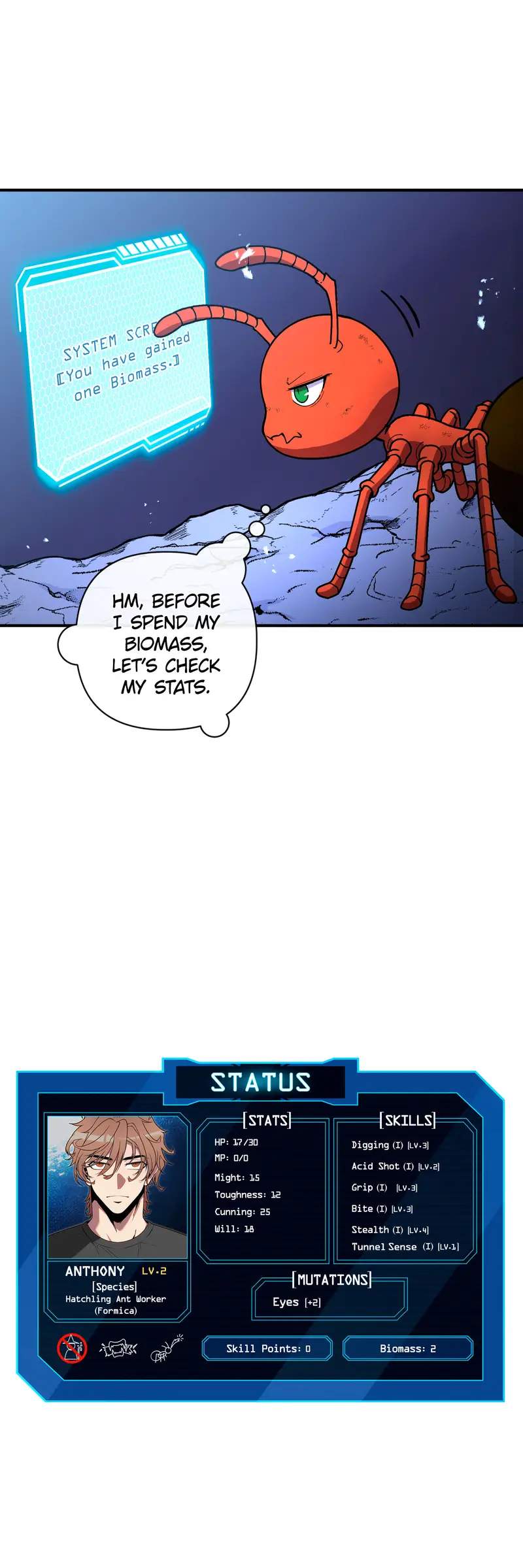 26