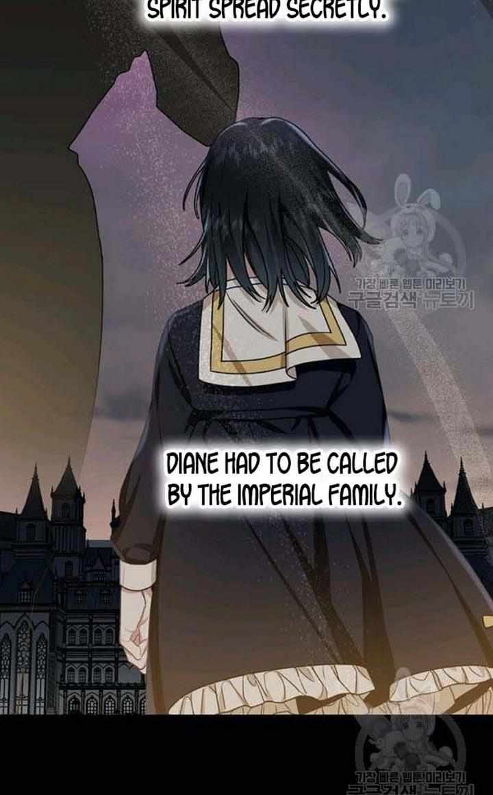 81