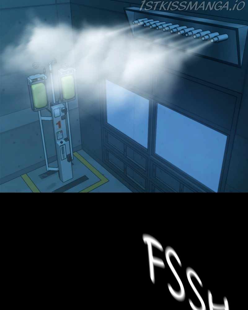 81