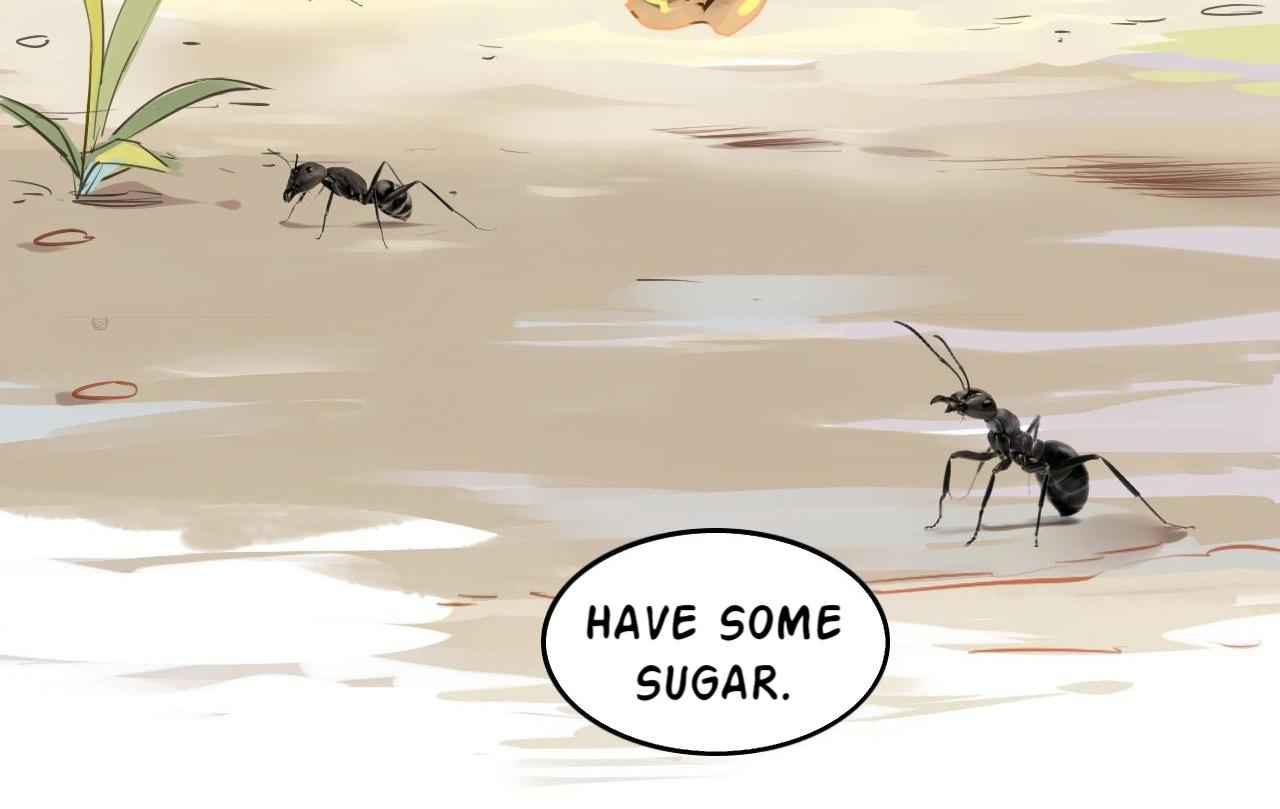 62