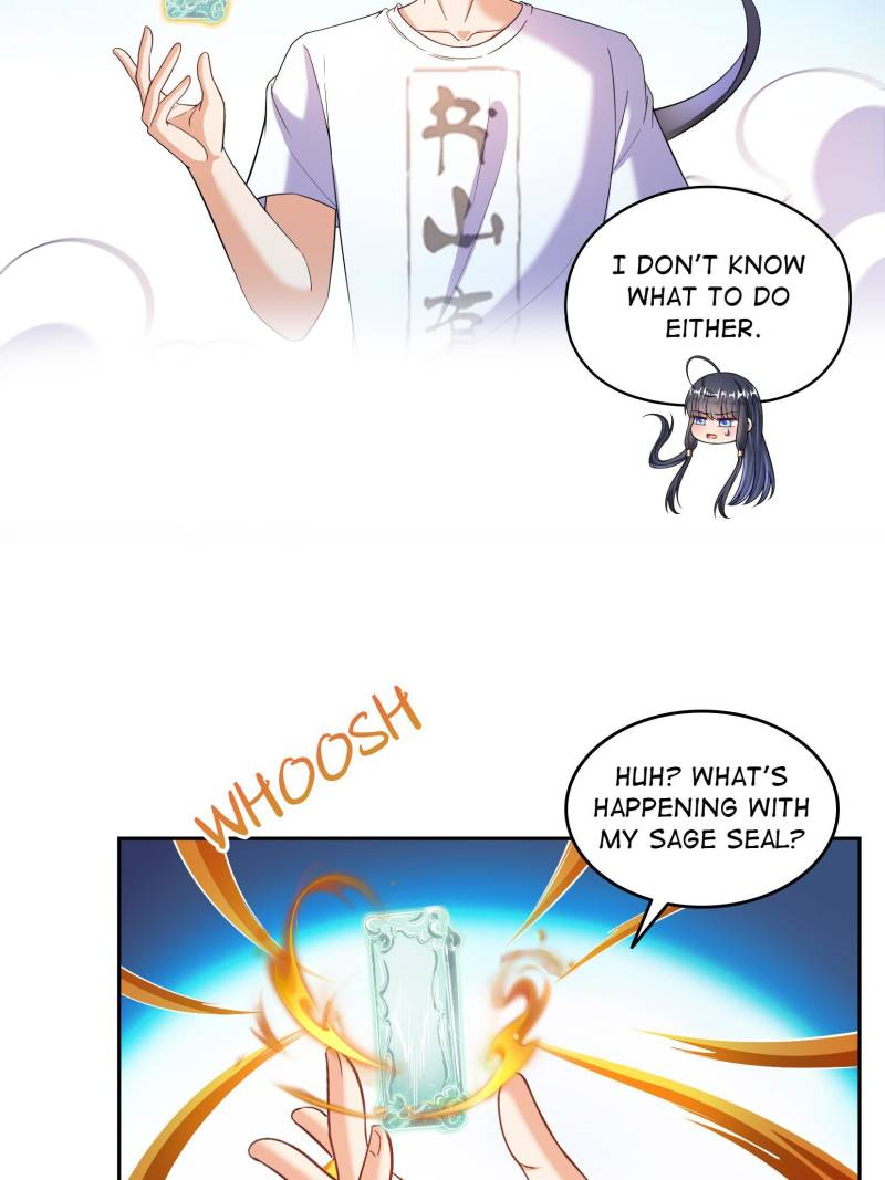 43