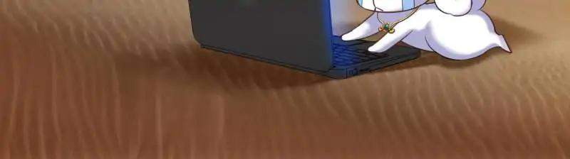 33