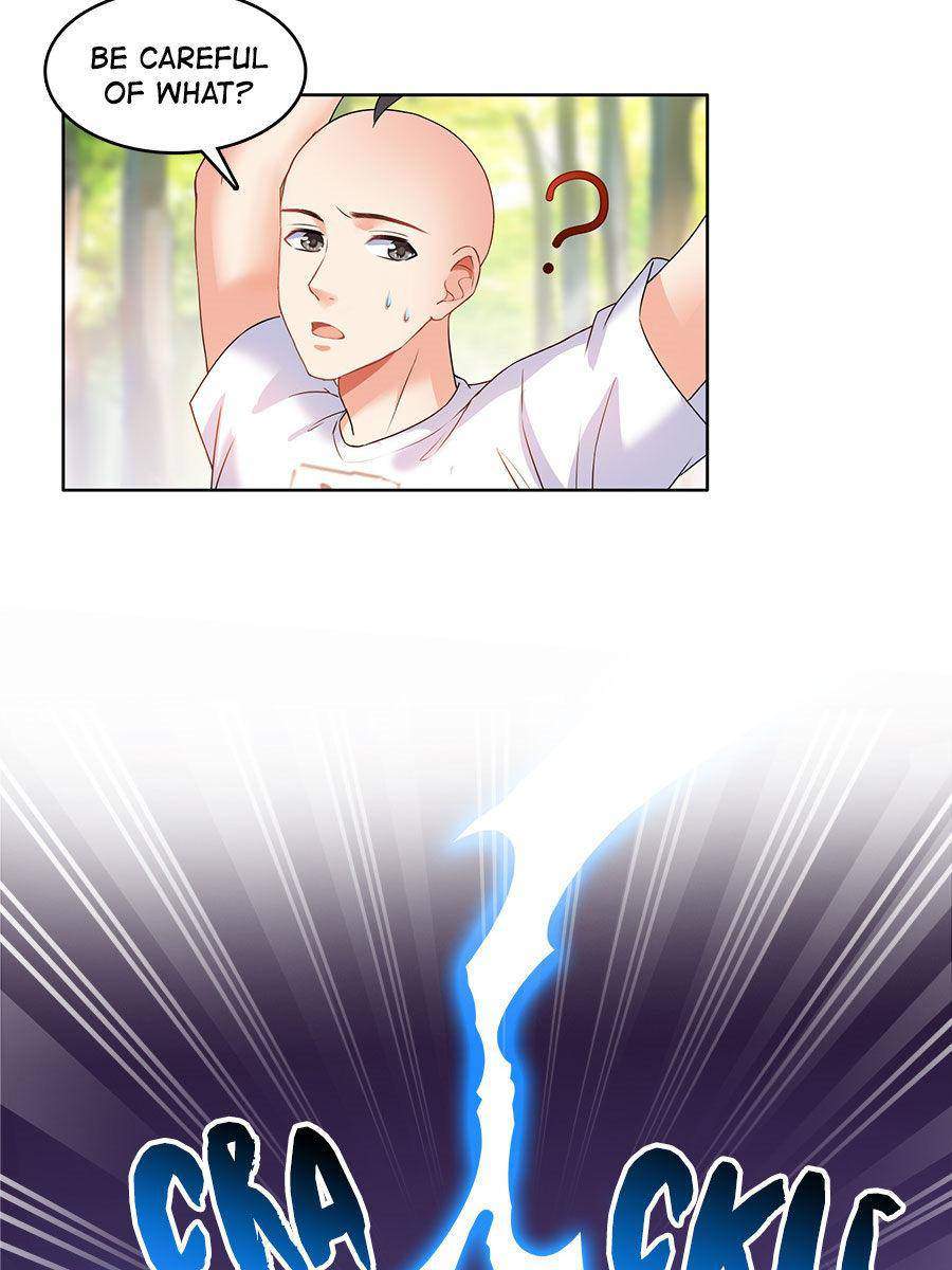 41