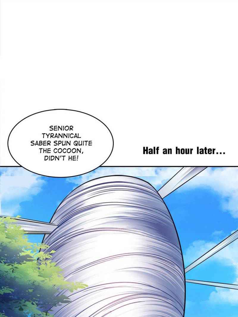 66