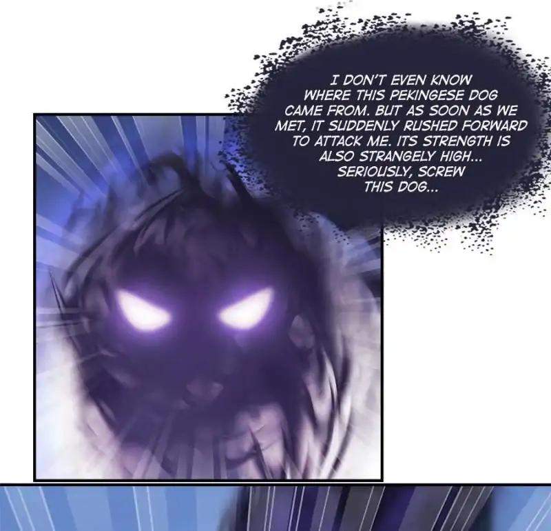 48