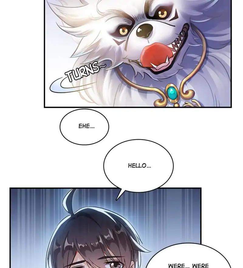 43