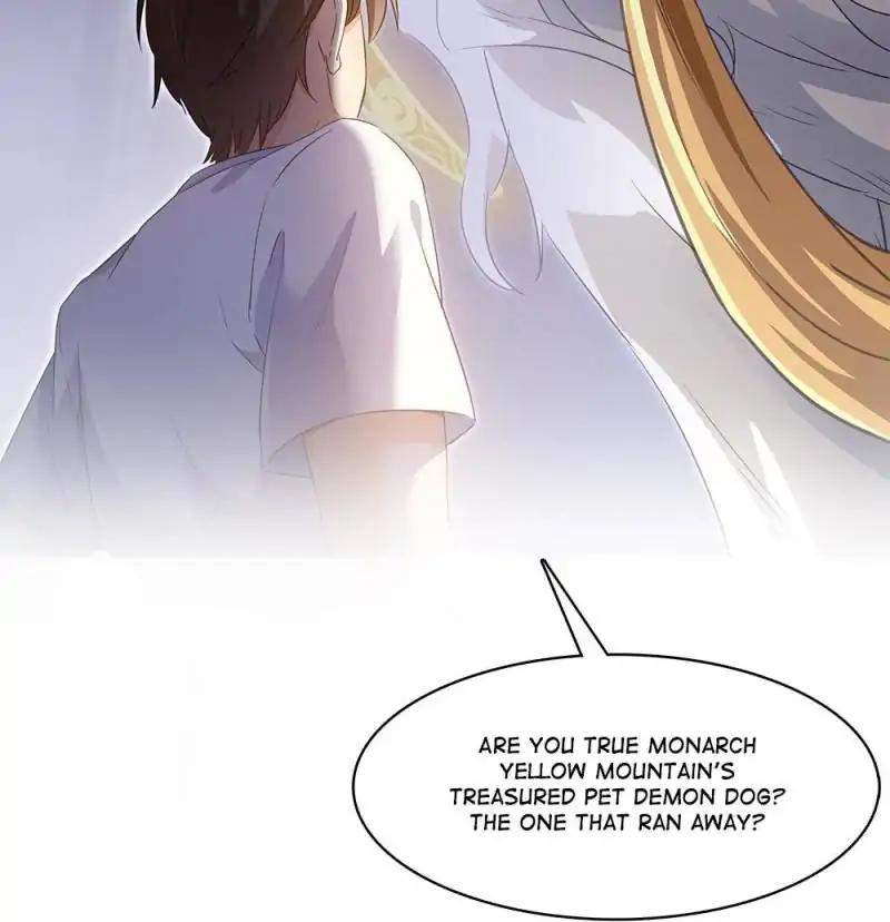 51