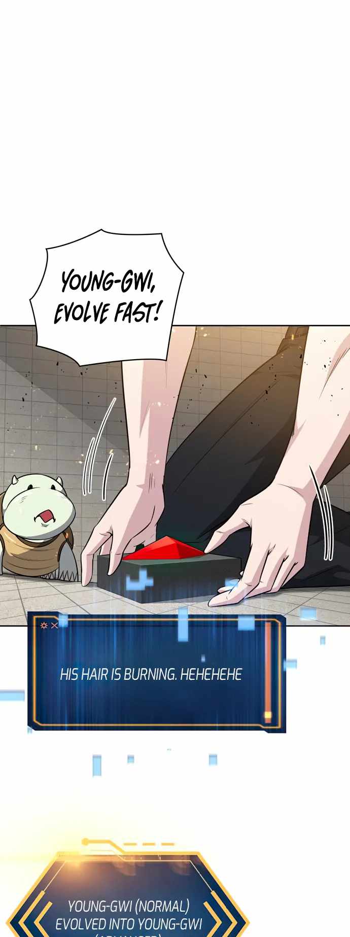 31