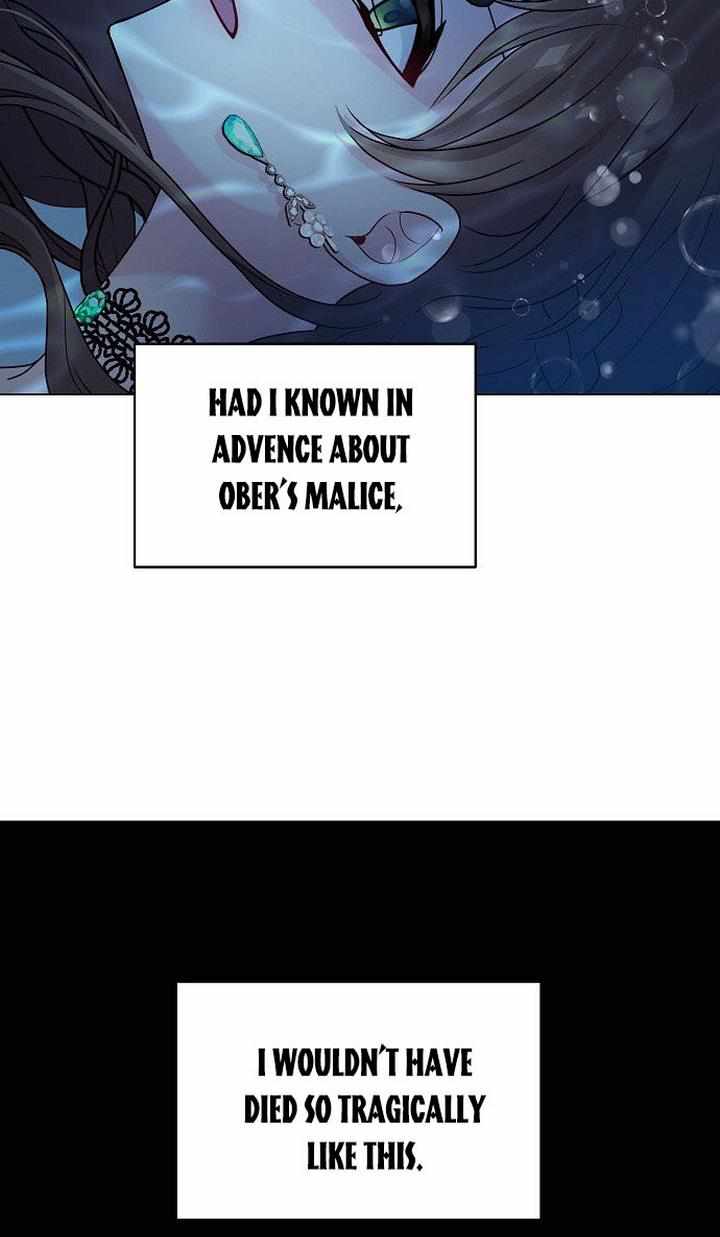 81