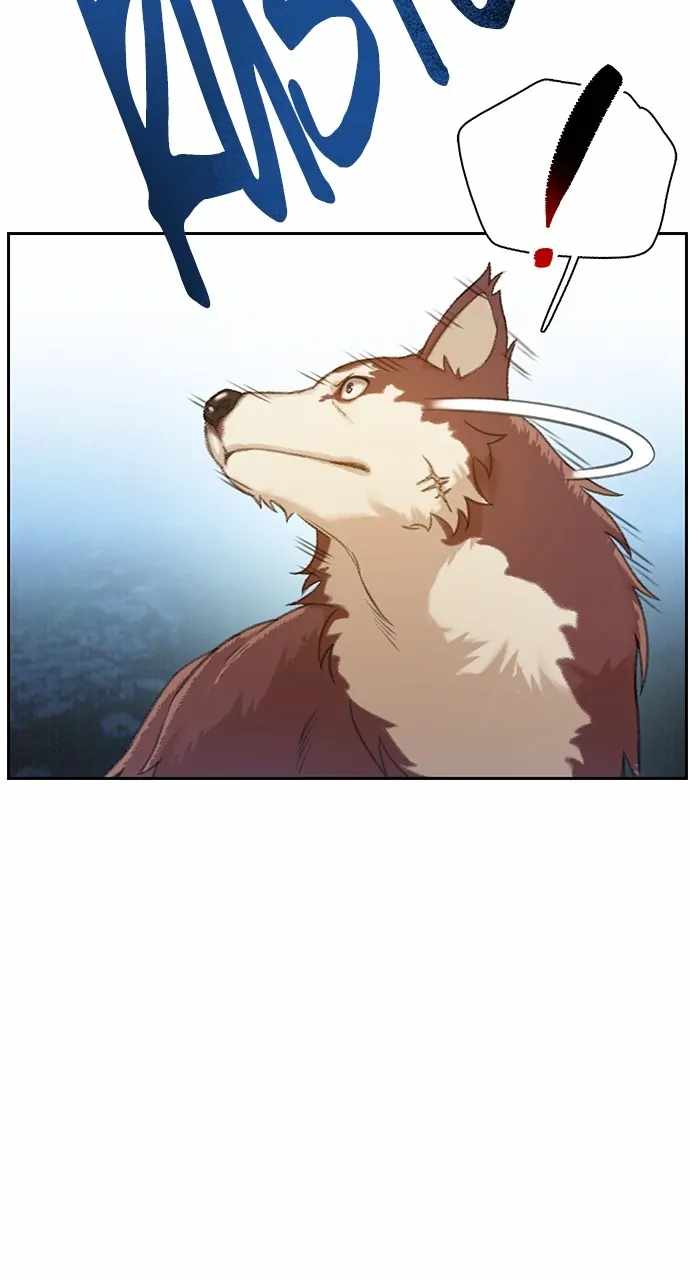 75
