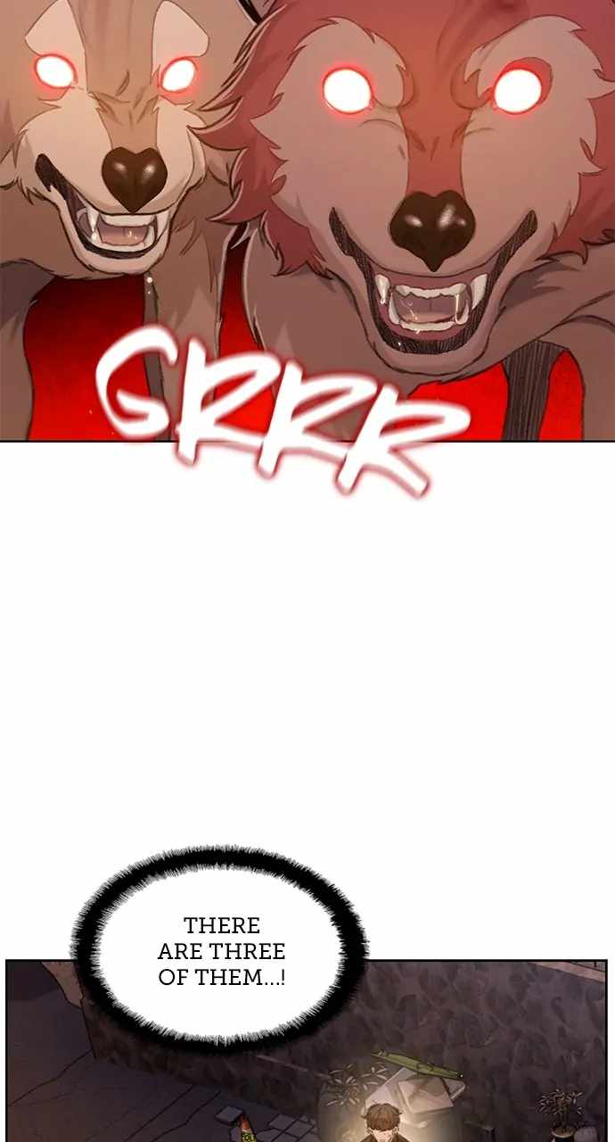 62