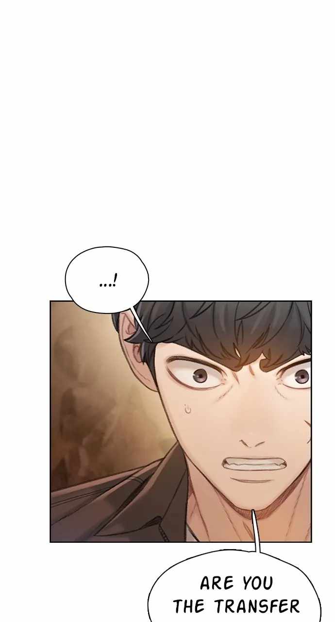 66