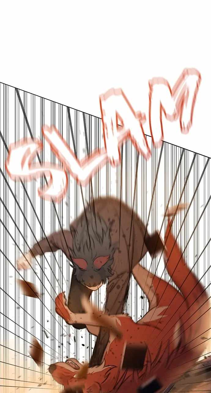 81
