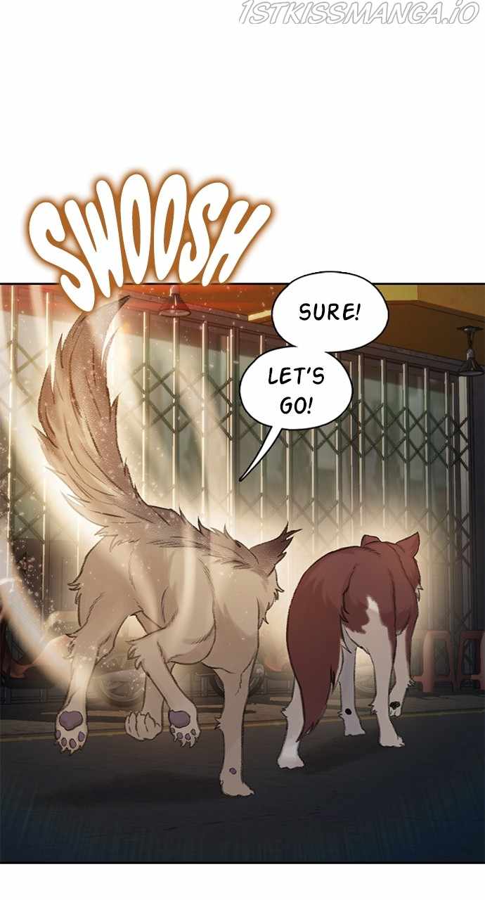 113