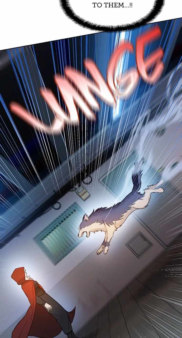 81