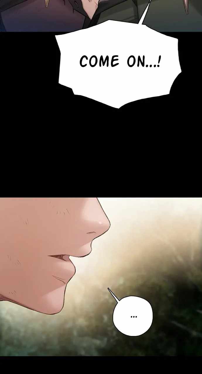 81