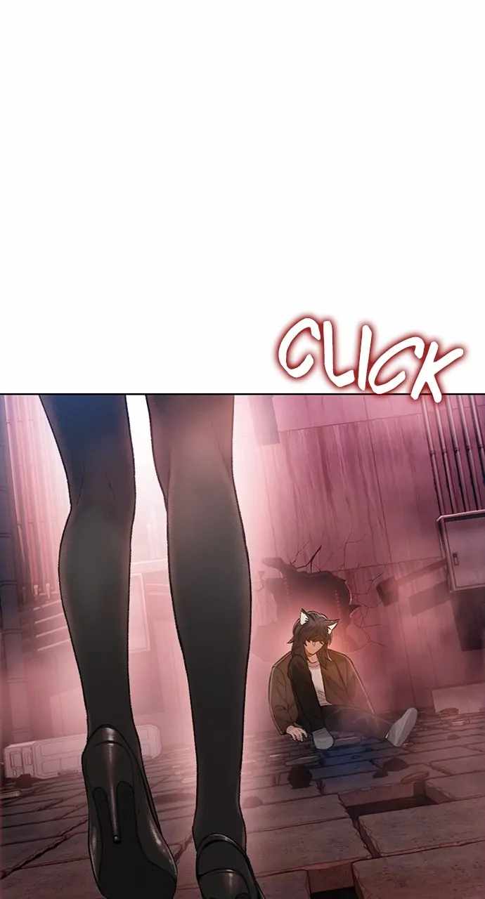 81