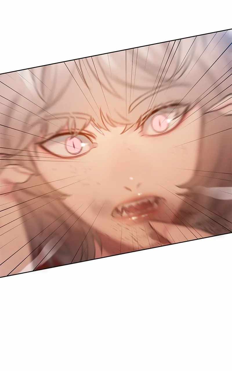 81