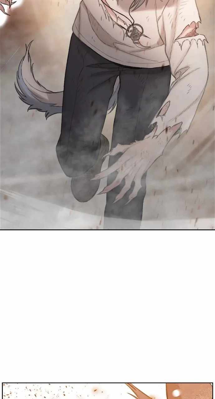81