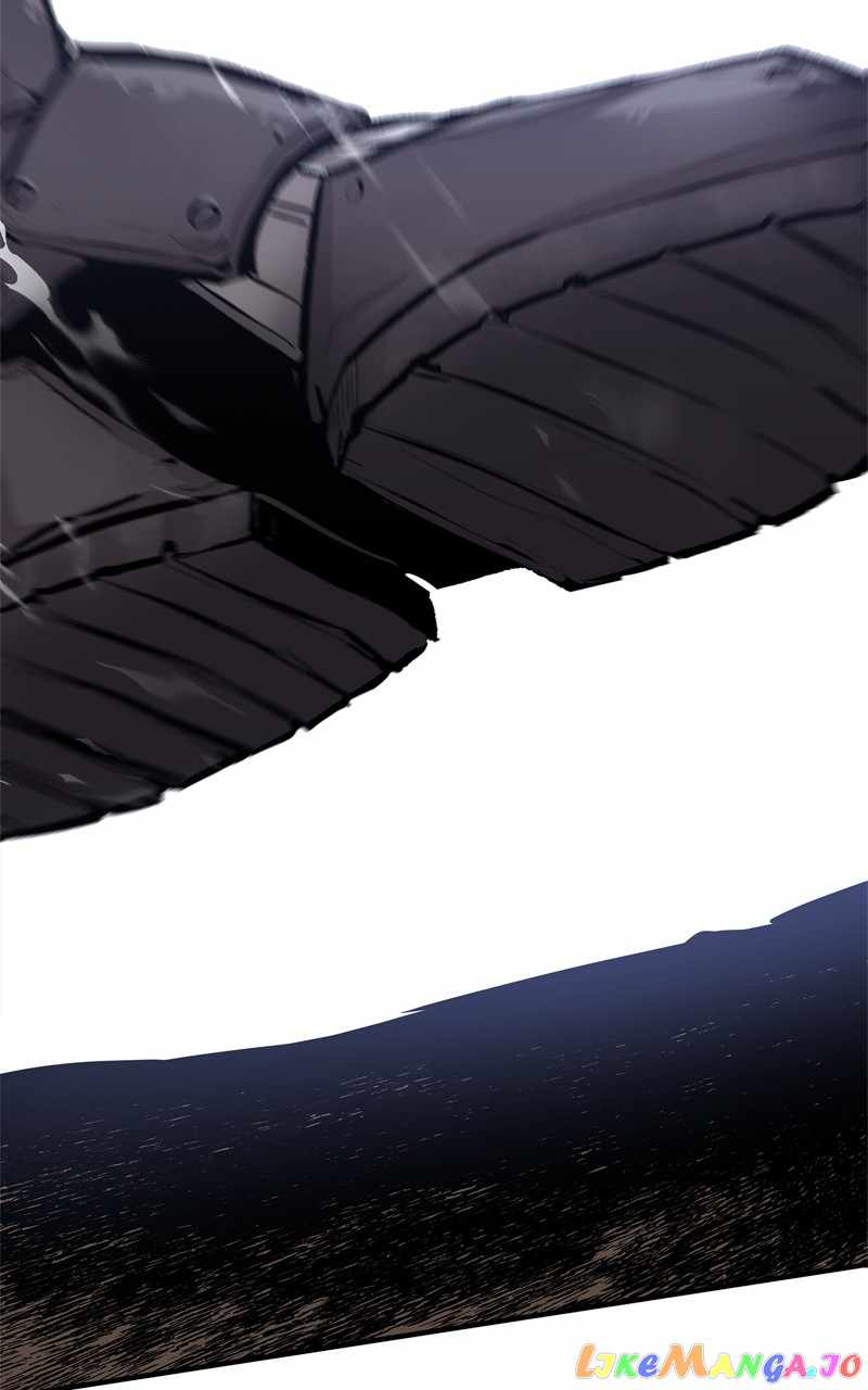 81