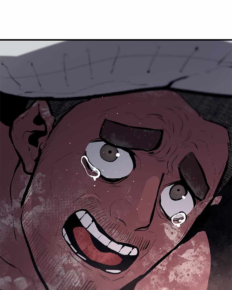 81
