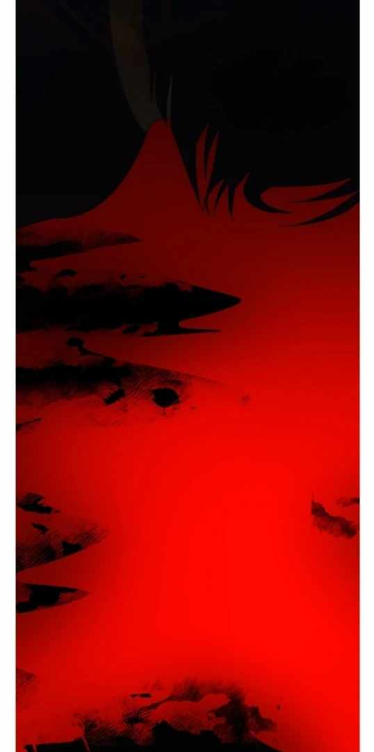 255