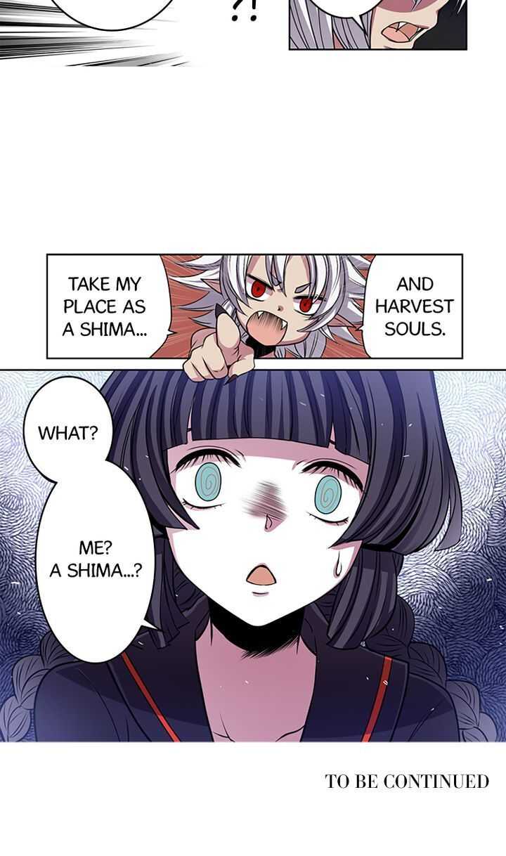 41