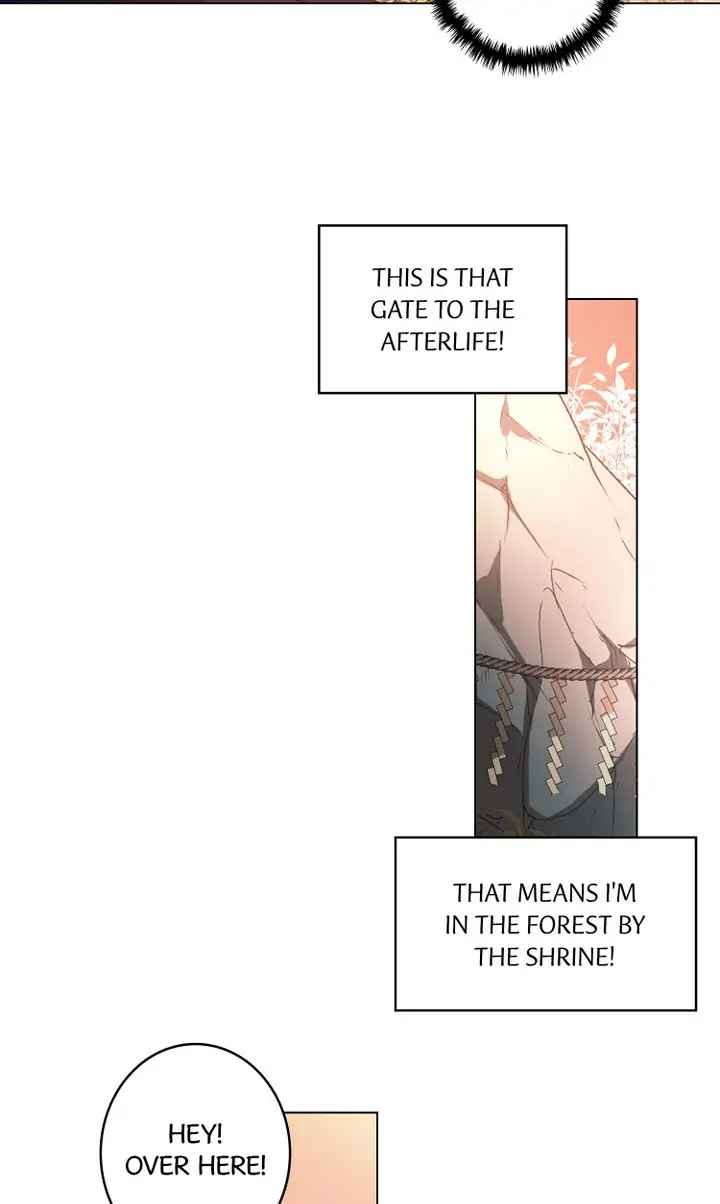 66