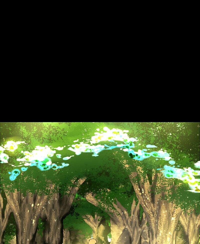 81