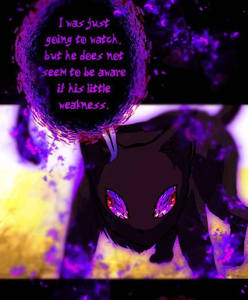 81